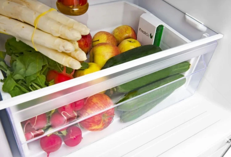 Amica Chłodziarko-zamrażarka FK1815.4U(E)