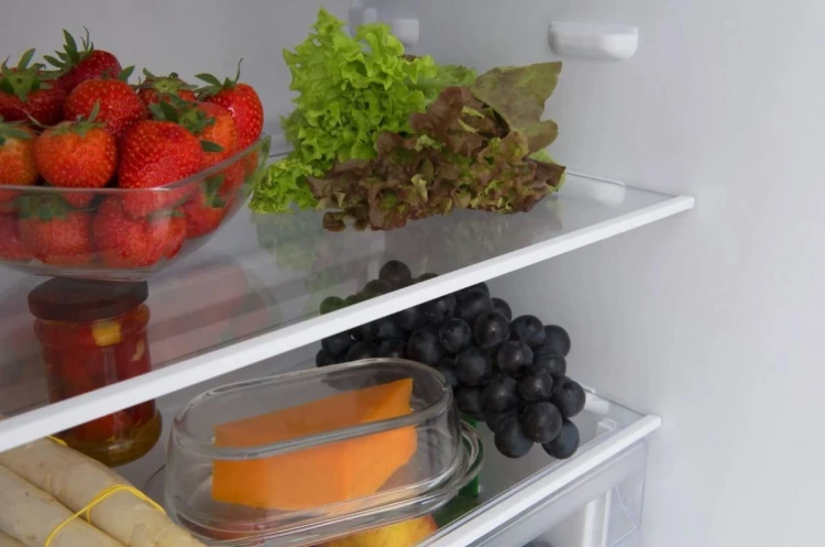 Amica Chłodziarko-zamrażarka FK1815.4U(E)