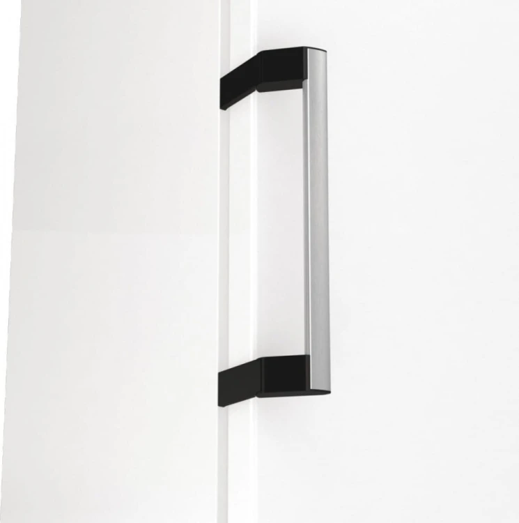 Gorenje Zamrażarka szufladowa FN619EAW6