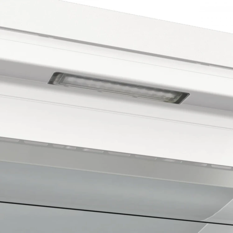 Gorenje Zamrażarka szufladowa FN619EAW6