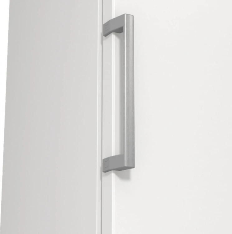 Gorenje Zamrażarka FN619EEW5