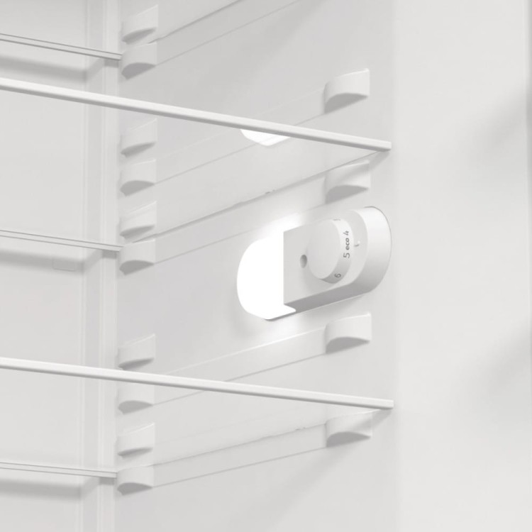 Gorenje Chłodziarka R619EEW5