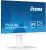 IIYAMA Monitor 24 cale XUB2497HSU-W2 IPS, HDMI, DP, 2x2W, 2xUSB, Pivot, HAS(150mm)