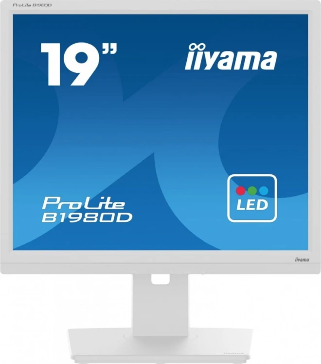 IIYAMA Monitor 19 cali B1980D-W5 DVI,VGA,PIVIOT,HAS/150mm,5:4