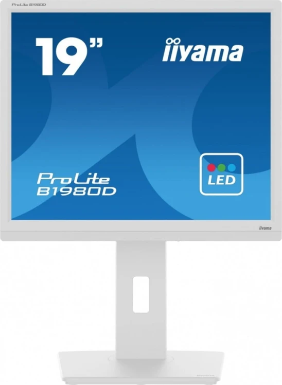 IIYAMA Monitor 19 cali B1980D-W5 DVI,VGA,PIVIOT,HAS/150mm,5:4