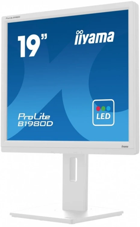 IIYAMA Monitor 19 cali B1980D-W5 DVI,VGA,PIVIOT,HAS/150mm,5:4