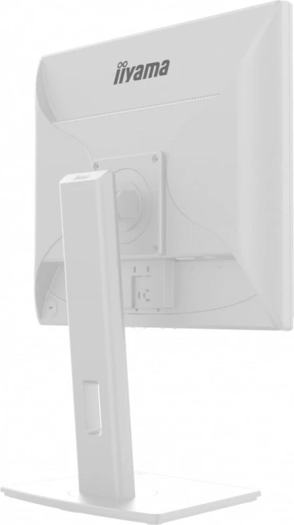 IIYAMA Monitor 19 cali B1980D-W5 DVI,VGA,PIVIOT,HAS/150mm,5:4