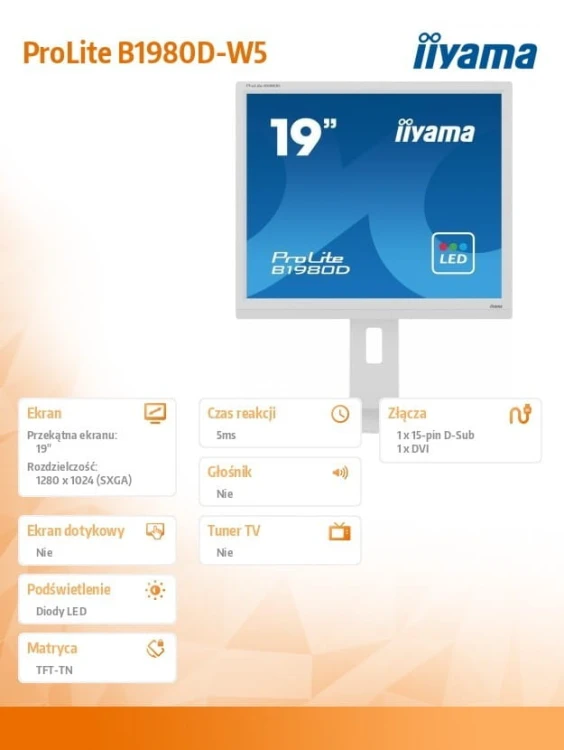 IIYAMA Monitor 19 cali B1980D-W5 DVI,VGA,PIVIOT,HAS/150mm,5:4