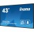 IIYAMA Monitor 42.5 cala ProLite LH4375UHS-B1AG, 24/7,IPS,ANDROID.11,4K,500cd/m2,WiFi,3xHDMI,DP,Daisy/Chain,2xUSB,2x10W,RJ45,iiSignage2,FailOver,SDM,4