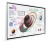 Samsung Monitor profesjonalny  WM55B FLIP PRO 55 cali Dotykowy 16h/7 350(cd/m2) 3840x2160 (UHD) Flip App USB-C Wi-Fi/BT 3 lata On-Site (LH55WMBWBGCXEN