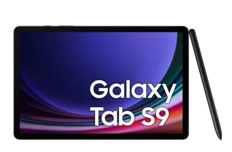 Samsung Tablet Galaxy Tab S9 X716 5G 11 cali 12/256 GB Gray