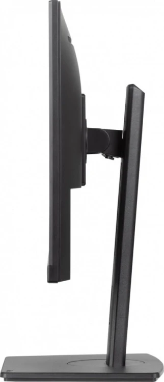 IIYAMA Monitor 24 cale XUB2491H-B1 IPS, HDMI, DP, 2x2W, HAS, Pivot