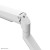 Neomounts Uchwyt do monitora biurkowego DS70-250WH1 17-35 cali 9kg