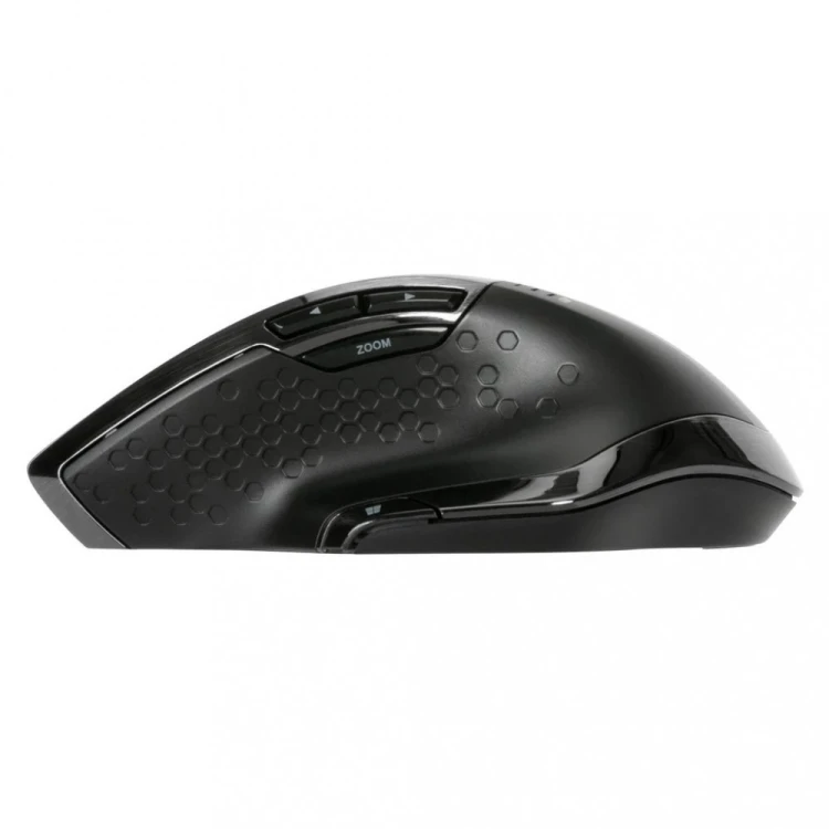 Targus Mysz bezprzewodowa BlueTrace Ergonomic Antimcrobial