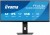 IIYAMA Monitor ProLite 34 cale XUB3493WQSU-B6 IPS,UWQHD,DP,2xHDMI,HAS,21:9,400cd,   120Hz,1000:1,1ms, USB HUBx4, 2x5W,