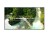 LG Electronics Monitor wielkoformatowy 65 cali 65UL3Q-E 350nit UHD 16/7