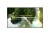 LG Electronics Monitor 50UL3Q-E 350cd/m2 UHD 16/7