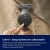 Electrolux Odkurzacz pionowy Animal 800 EP82AB25UG