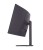 LG Electronics Monitor zakrzywiony 32 cale 32G600A-B