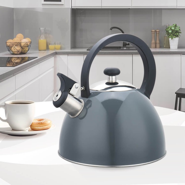 Feel-Maestro Czajnik nieelektryczny 2,5 l MR-1302-GREY