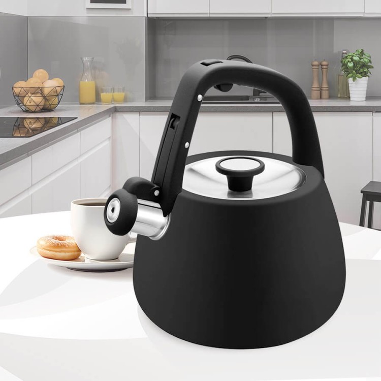 Feel-Maestro Czajnik nieelektryczny 2,5 l MR-1318-BLACK