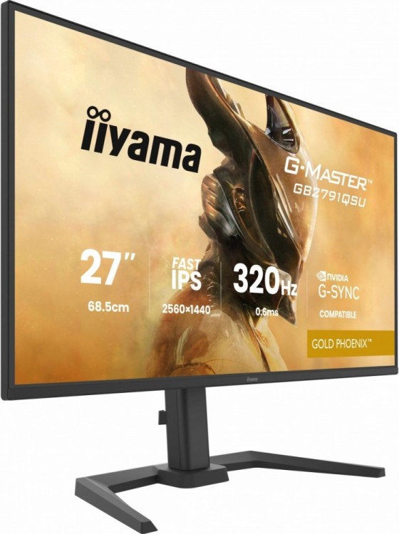 IIYAMA Monitor 25 cali GB2791QSU-B1 0.6ms,DP,2xHDMI 2.1 ,320Hz, Fast IPS,  WQHD,350 cd/m2, USB HUB x4 (2x Type-A, 2x Type-C), G-SYNC compatible - HDMI