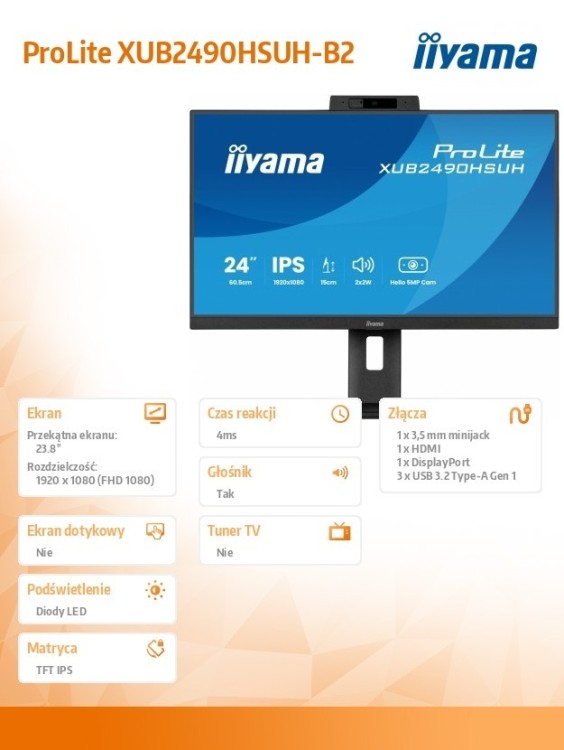IIYAMA Monitor 24 cale XUB2490HSUH-B2 + Norton Small Business card 250G PL