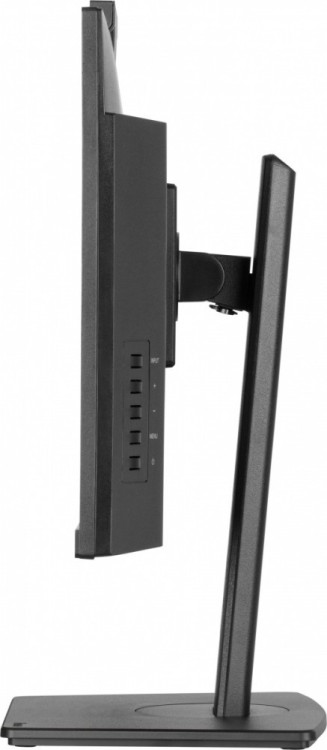 IIYAMA Monitor 24 cale XUB2490HSUH-B2 + Norton Small Business card 250G PL