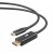 TB Kabel USB C - Displayport 2m czarny