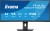 IIYAMA Monitor 34 cale XCB3497WQSNP-B1 + Norton Small Business card 250G PL