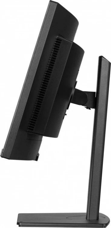 IIYAMA Monitor 34 cale XCB3497WQSNP-B1 + Norton Small Business card 250G PL