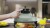 Dreame Airfryer PT60 zielony