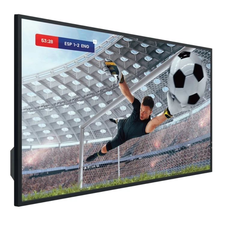 Hisense Monitor 55DM66D 55 cali 4K UHD IPS Digital Signage Display 24/7