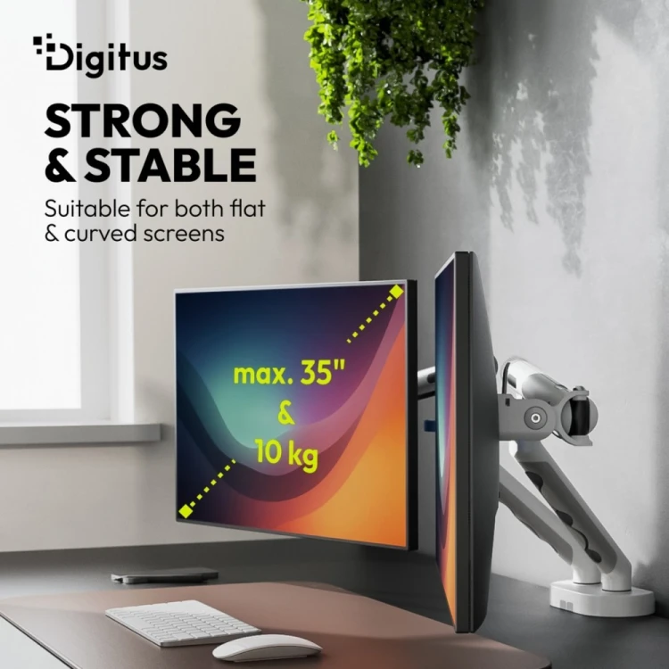 Digitus Ramię biurkowe podwójne z zaciskiem i sprężyną mechaniczną 2x LCD max. 35" obciążenie 2x10kg, VESA: 75x75, 100x100, białe