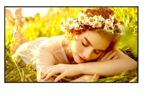 LG Electronics Monitor wielkoformatowy 50UL5Q-E 500cd/m2 UHD 24/7