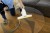 Karcher Myjka do okien WV 2 1.633-671.0