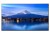 Sharp Monitor wielkoformatowy MultiSync P556 55 cali UHD 700cd/m2 24/7