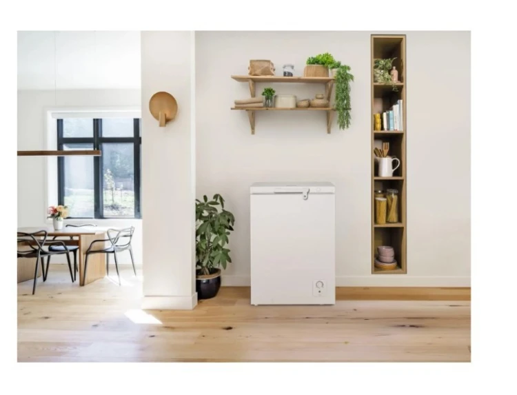 Gorenje Zamrażarka FH10E4W5