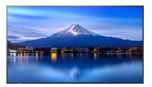 Sharp Monitor MultiSync P436 43 cale UHD 24/7 700cd/m2