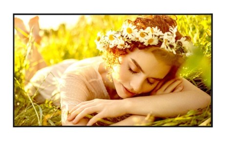 LG Electronics Monitor wielkoformatowy 65UL5Q-M 500cd/m2 UHD 24/7