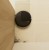 iRobot Odkurzacz Roomba 115 Combo AutoEmpty Y454040 Czarny
