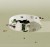 iRobot Odkurzacz Roomba 115 Combo Y414240 Biały