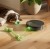 iRobot Odkurzacz Roomba 775 Combo Czarny