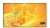 LG Electronics Monitor wielkoformatowy 65UH5Q-E 500cd/m2 UHD 24/7