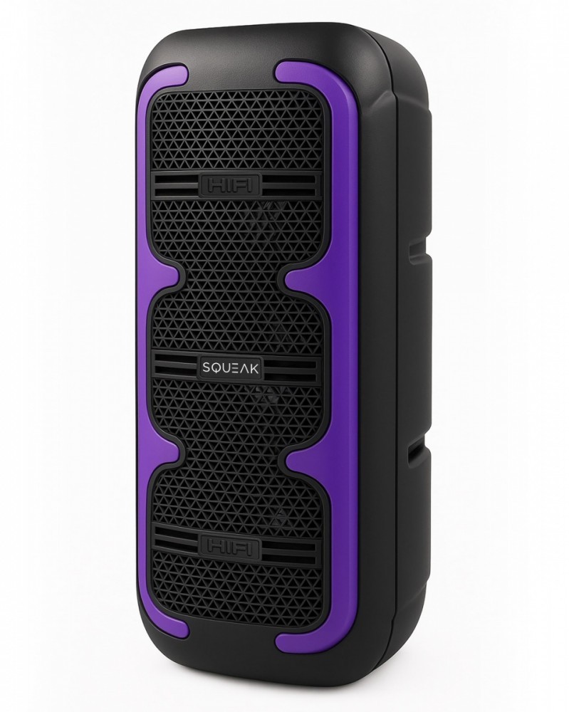 SQUEAK Głośnik bluetooth 5.3 Karaoke BeatOne USB-C SQ1009